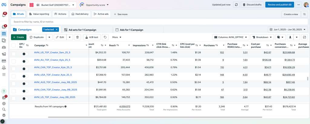 Meta Ads Manager — campaign performance