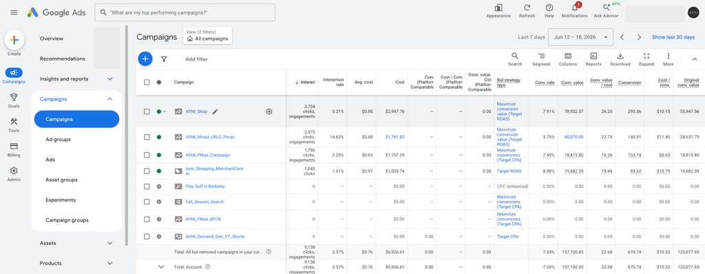 Google Ads — campaign performance